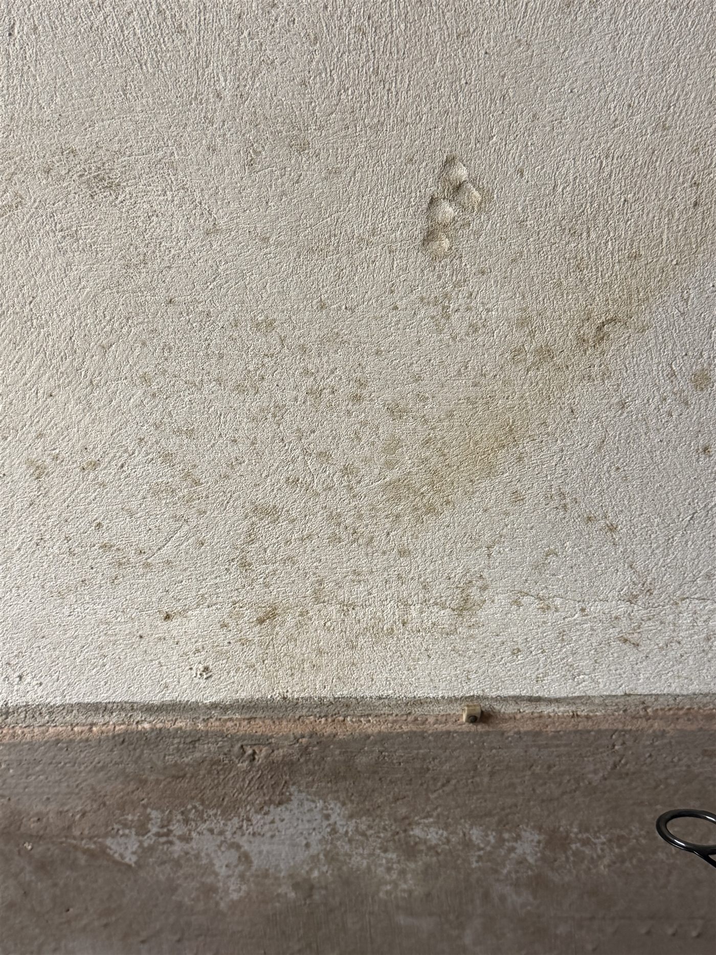 Stockflecken an einer Kellerwand im ehemaligen Öltankraum